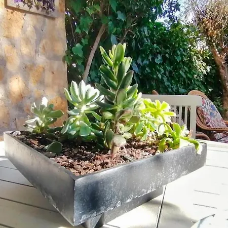 Apartman Vacay Duplex Gala, Jardin, Aire Libre, Sol, En La Costa Brava, L'escala!